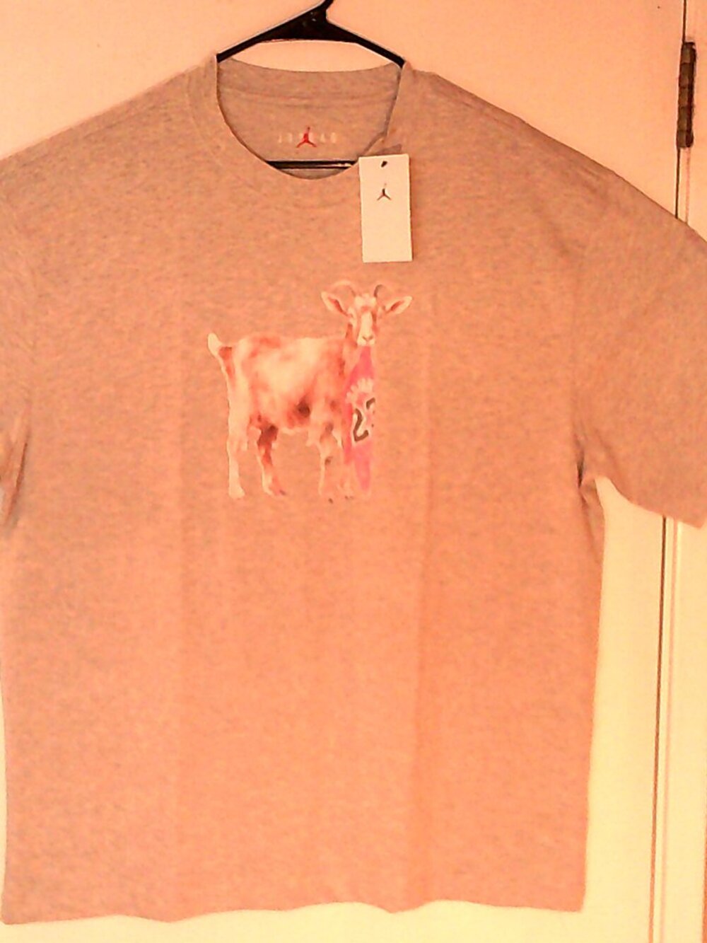 NEW AIR JORDAN "GOAT S/S Crew Tee" MEN'S HEATHER GREY T-SHIRT XL IF0786-050